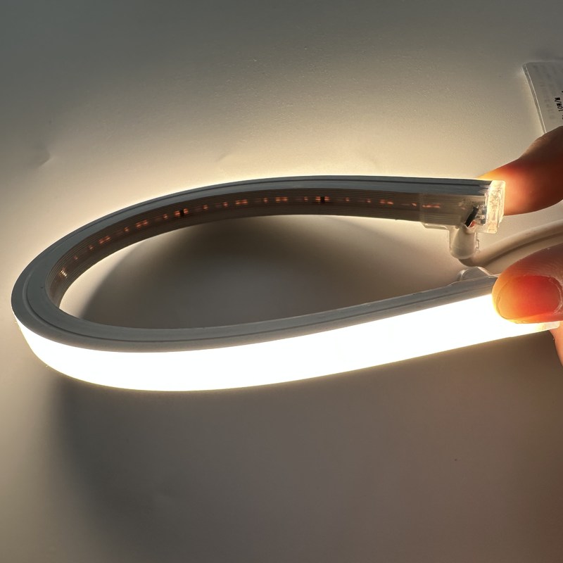 Нашивки 12V/24V DC мягкие неоновые 120LEDs/M для крытого/на открытом воздухе неонового света силикона 24V СИД